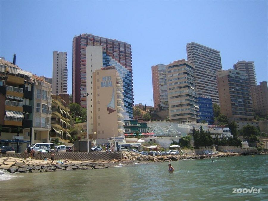 Benikaktus Benidorm